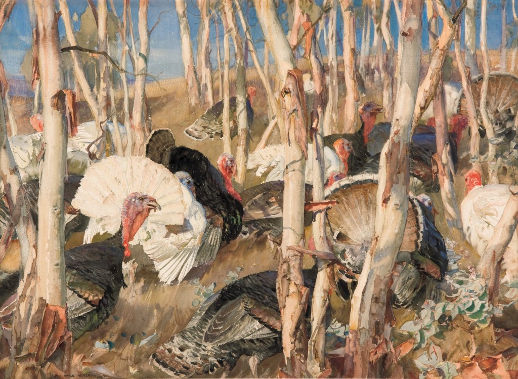 Hahndorf’s Heysen heartland gains a new member of the family